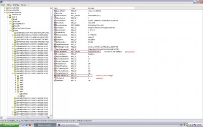 clés registre WoL OCS optiplex 360.jpg